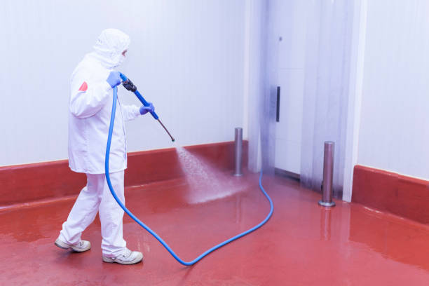 Best Graffiti Removal  in Navassa, NC