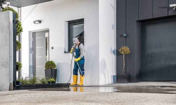Best Sidewalk and Walkway Cleaning  in Navassa, NC